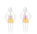 Correct alignment of human body in standing posture for good personality and healthy of spine and bone. Health care and medical il Royalty Free Stock Photo