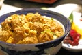 Correct authentic Oyakodon, Chicken and egg bowl Royalty Free Stock Photo