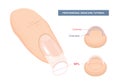 Correct C-curve. Manicure Tutorial. Nail Extension Guide. Tips and Tricks. Vector