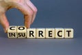 Correct vs insurrect symbol. Businessman hand turns wooden cubes and changes the word `insurrect` to `correct`. Beautiful grey