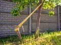 Correcting the inclination of the trunk of a young tree with a peg bandage