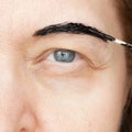 Correction of eyebrows and modeling at home, eyebrow coloring henna tattooing, permanent makeup closeup Royalty Free Stock Photo