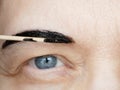 Correction of eyebrows and modeling at home, eyebrow coloring henna tattooing, permanent makeup Royalty Free Stock Photo