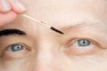 Correction of eyebrows and modeling at home, eyebrow coloring henna tattooing, permanent makeup Royalty Free Stock Photo