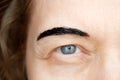 Correction of eyebrows and modelling at home, eyebrow coloring henna tattooing, permanent makeup Royalty Free Stock Photo