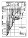 Correspondence between the development of the animal and the succession of geological epochs, vintage engraving