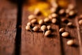 Corriander seeds on a wooden background. Soft focus using macro lense