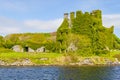 Corrib River, natural vegetation and Menlo Castle