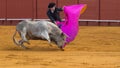 Corrida. Spanish Bullfight Royalty Free Stock Photo