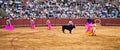 Corrida toreros at the Real Maestranza de Caballeria in Seville, Spain.