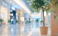 Brightly Lit Shopping Mall Corridor During Daytime Royalty Free Stock Photo