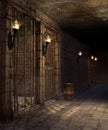 Corridor in a castle dungeon