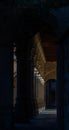 Corridor of the cloister of the University of Salamanca with the columns, arches and wooden ceiling dimly illuminated by the light Royalty Free Stock Photo