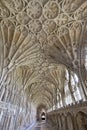 Corridor in the Cloisters at Gloucester Cathedral, Gloucestershire, England, United Kingdom Royalty Free Stock Photo