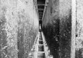 Corridor of concrete pillars