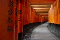 Corridor of Fushimi Inari Royalty Free Stock Photo