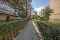 Corridor between hedges and gardens with leafy trees in common areas of an urbanization of urban buildings Royalty Free Stock Photo