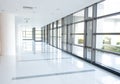 Corridor of the office building Royalty Free Stock Photo