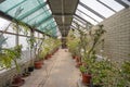 Corridor with plants in a greenhouse in a botanical garden. Botanical garden named after Hryshka, Kyiv, Ukraine