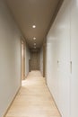 Corridor with white wardrobe. Interior of modern apartment