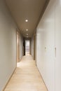 Corridor with white wardrobe. Interior of modern apartment