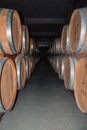Corridor with wood barrels in the Aurora Winery