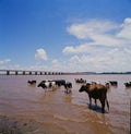 Corrientes province of Argentina - Paso de los Libres - international bridge with Uruguayan Agustin P Justo - Getulio Vargas