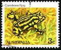 Corroboree Frog Australian Postage Stamp