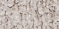 Corroded dirty white steel sheet with scratches. Metal texture. Grunge metallic background. Painted wall backdrop Royalty Free Stock Photo