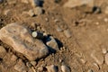 Corroded gun sleeve in desert