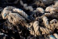 Corroded Twisted ship mooring strong rope for securing fishing boats Royalty Free Stock Photo