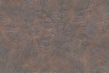 Corrosion metal- distressed panels Royalty Free Stock Photo