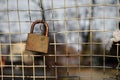 Corrosive and orange padlock in open park in Kardzali Bulgaria d Royalty Free Stock Photo