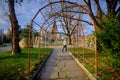 Corrosive and orange vine trellis in open park in Kardzali Bulgaria during early in the morning with sunshine. Royalty Free Stock Photo