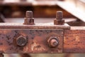 Corrosive rusted bolt