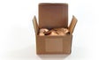 Corrugated cardboard box open with American one cent coins inside on white background Royalty Free Stock Photo