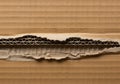 Corrugated cardboard with a torn section exposing the inner layers is shown. The Royalty Free Stock Photo