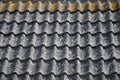Corrugated ceramic roof pattern