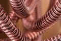 Corrugated copper pipe macro view Royalty Free Stock Photo