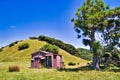 Corrugated iron pioneer cottage in the hills of South Island, New Zealand