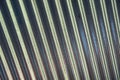 Corrugated Metal Background Texture