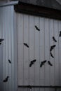 Gray corrugated steel building decorated with black bat silhouettes Royalty Free Stock Photo