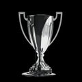 Corrupted Silver Trophy Representing a Tainted Victory Royalty Free Stock Photo
