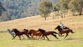 A Cowboy Chases Wild Horses During The Man From Snowy River Re-Enactment April 2019