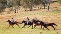 Cowboys Chase Wild Horses During The Man From Snowy River Re-Enactment April 2019