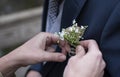 Corsage getting pinned on groom at wedding Royalty Free Stock Photo