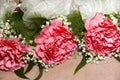 Corsages for pink Carnations Royalty Free Stock Photo