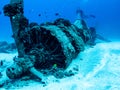 Corsair plane Wreck from World War 2 - Scuba diving in Oahu, Hawaii Royalty Free Stock Photo