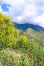 Corsica, an ancient genoese fortress Royalty Free Stock Photo