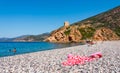 Corsica beach in park Scandola Royalty Free Stock Photo